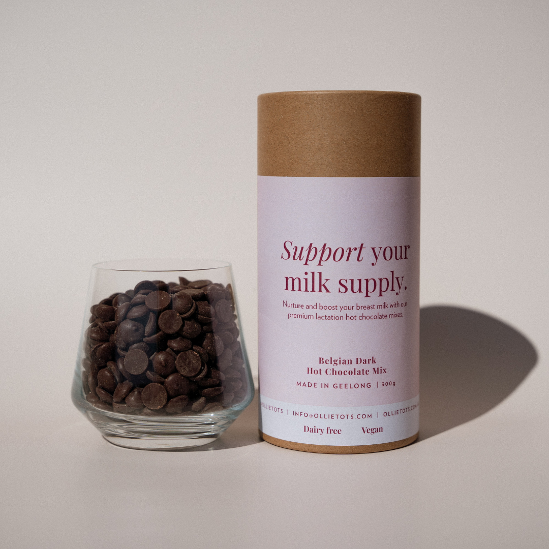 Organic Peruvian Cacao Lactation Hot Chocolate mix (DF)