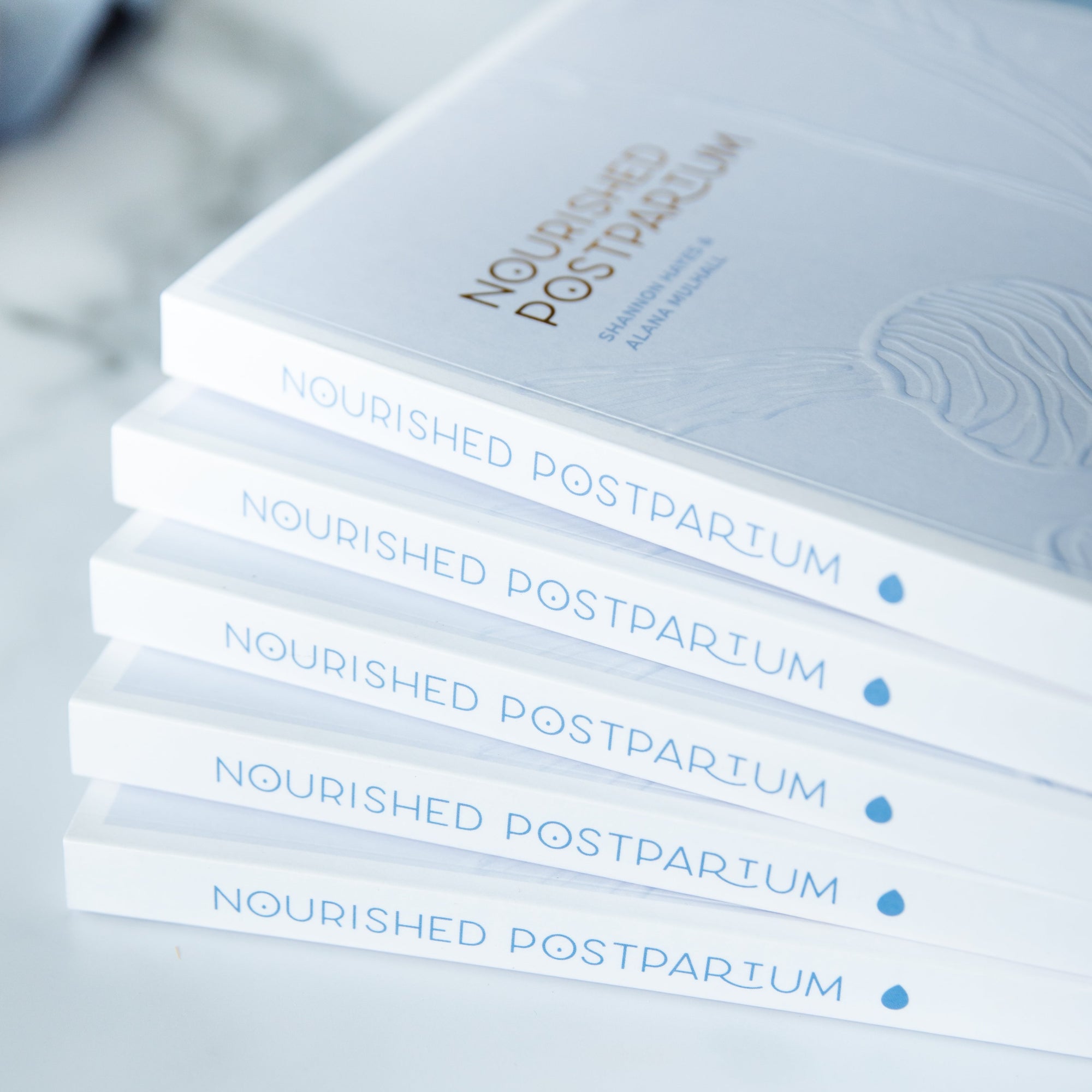 Nourished Postpartum Book