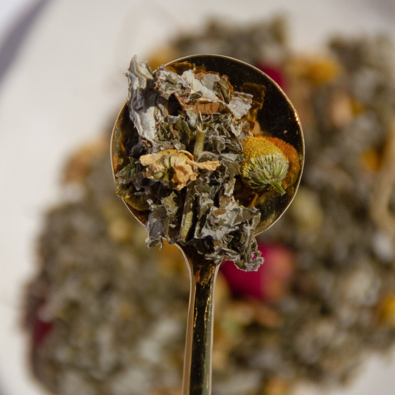 Red Raspberry Leaf Blend